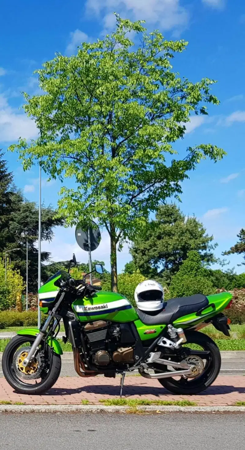 Kawasaki ZRX 1200 R (2000 - 06) (7)