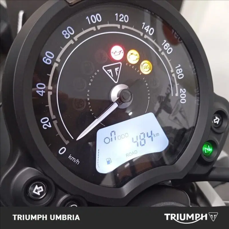 Triumph Scrambler 900 (2023 - 25) (3)