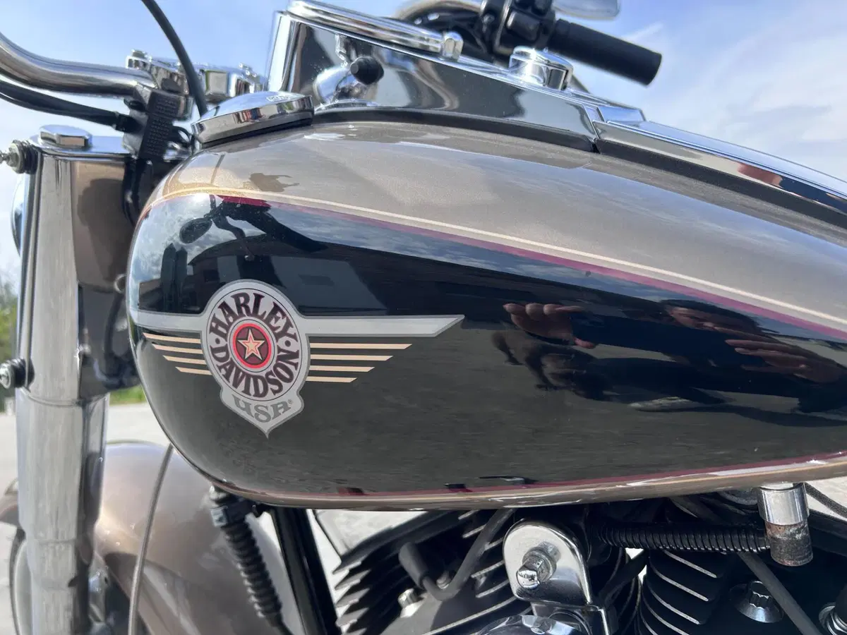 Harley-Davidson 1450 Fat Boy (2003 - 06) - FLSTFI (2)