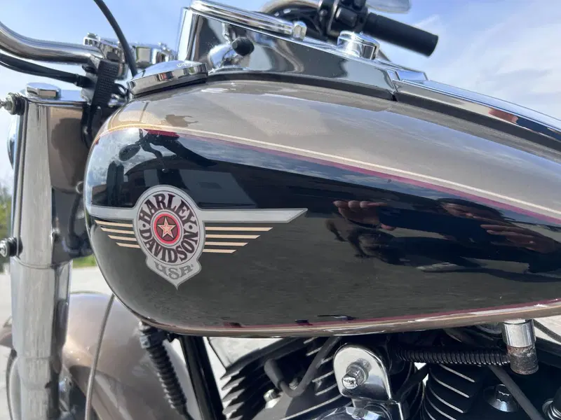 Harley-Davidson 1450 Fat Boy (2003 - 06) - FLSTFI (2)