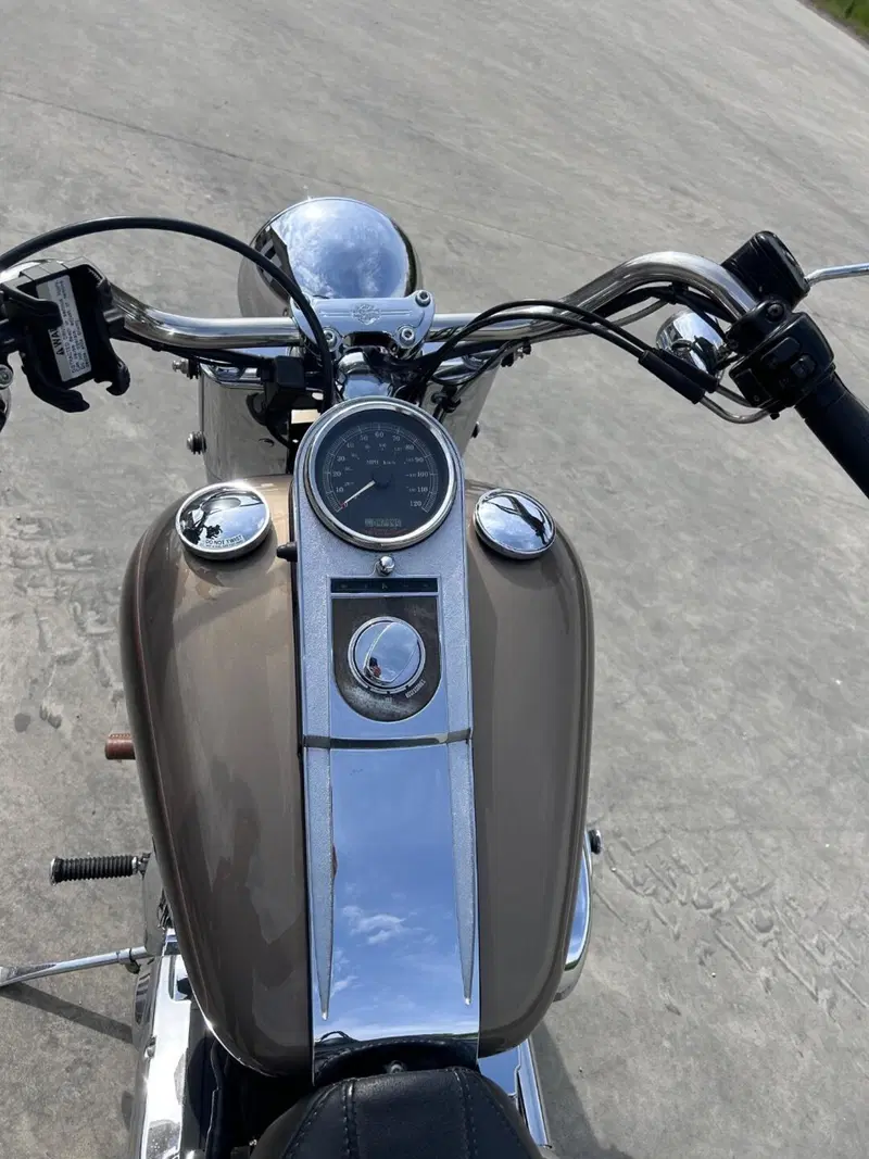 Harley-Davidson 1450 Fat Boy (2003 - 06) - FLSTFI (6)