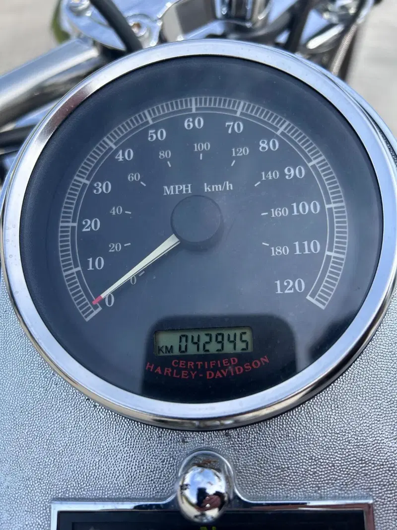 Harley-Davidson 1450 Fat Boy (2003 - 06) - FLSTFI (7)