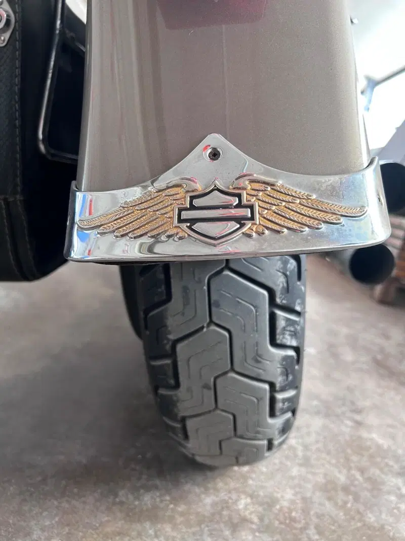 Harley-Davidson 1450 Fat Boy (2003 - 06) - FLSTFI (8)