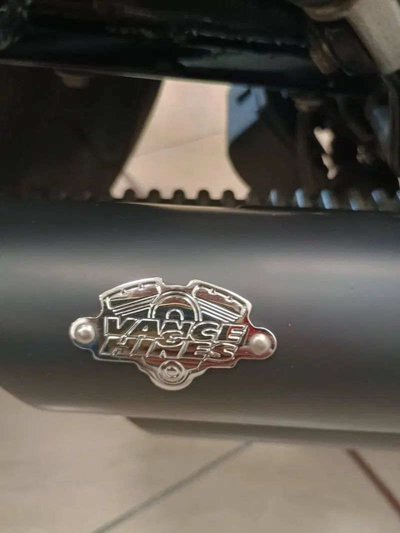 Harley-Davidson 883 Iron (2009 - 11) - XL 883N (11)