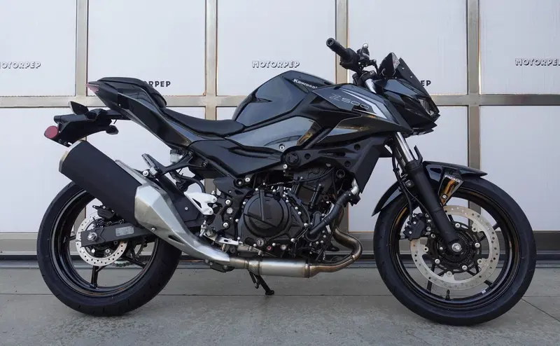 Kawasaki Z 500 (2024 - 26) (2)