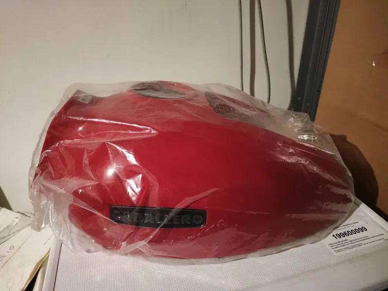 Fantic Motor Caballero 500 Scrambler (2021 - 23) (7)