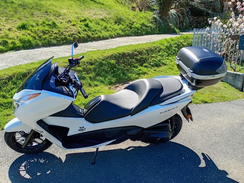 Honda Forza 300 ABS (2013 - 17) (2)