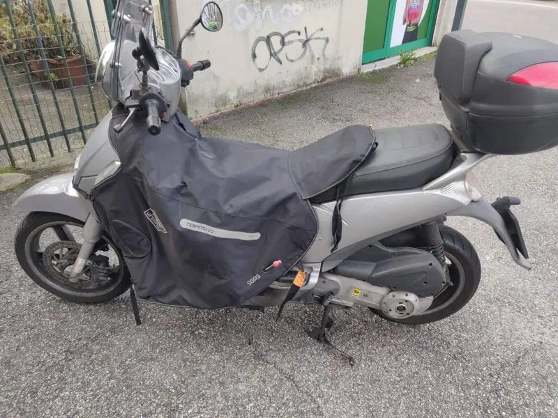 Aprilia Scarabeo 250 (2006 - 11) (3)