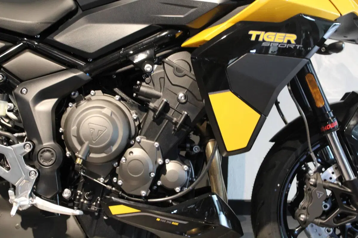 Triumph Tiger Sport 800 (2025 - 26) (11)