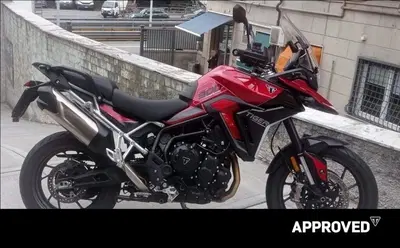 Triumph Tiger 900 GT Pro (2024 - 26) usata