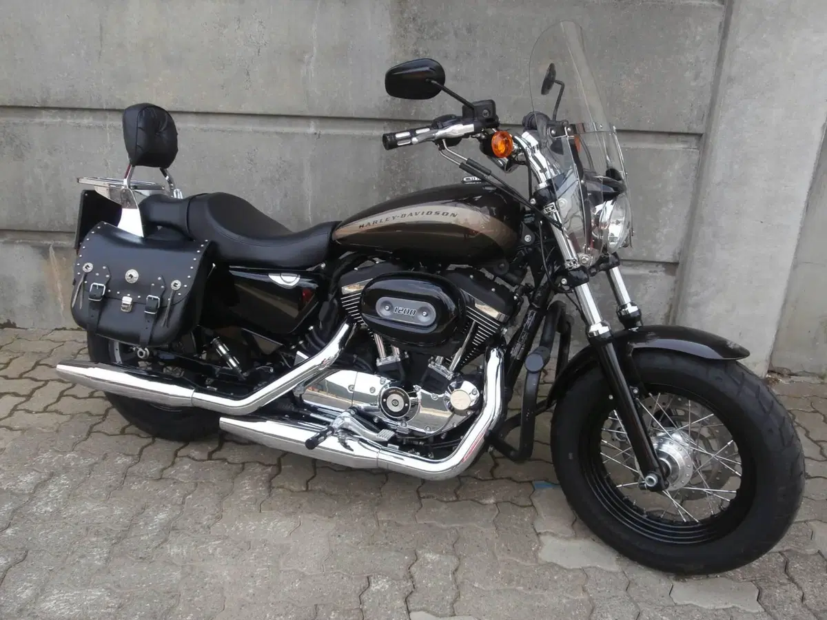 Harley-Davidson 1200 Custom (2017) - XL 1200C (5)