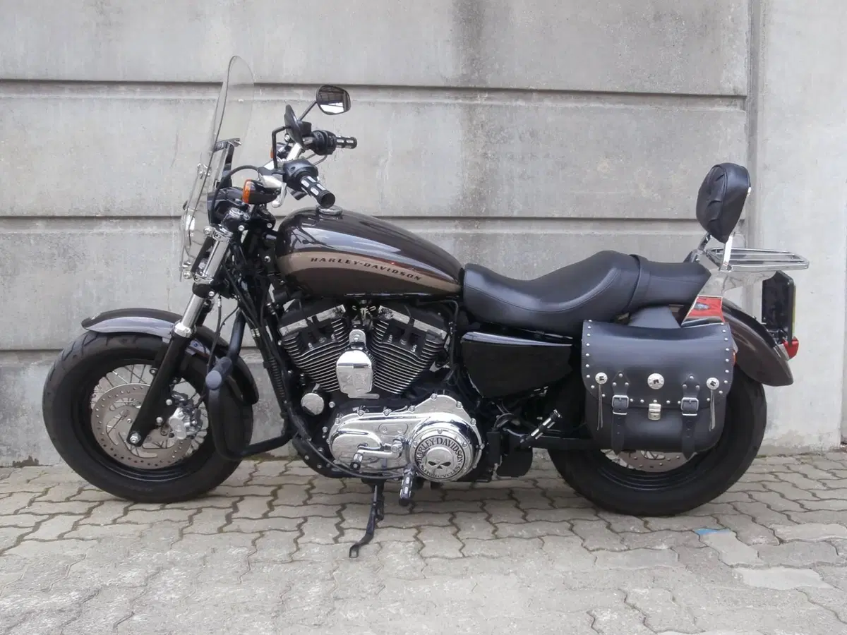 Harley-Davidson 1200 Custom (2017) - XL 1200C (8)