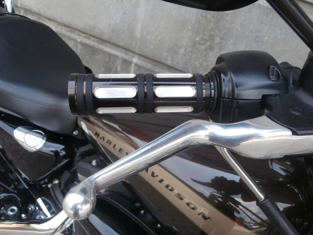 Harley-Davidson 1200 Custom (2017) - XL 1200C (15)