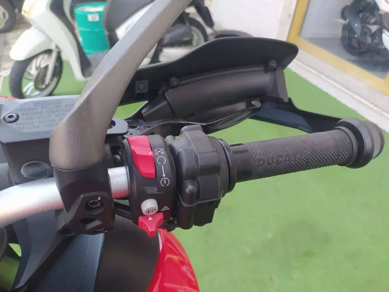 Ducati Multistrada 950 (2019 - 20) (10)