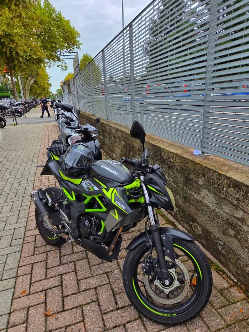Kawasaki Z 125 (2021 - 24) (3)