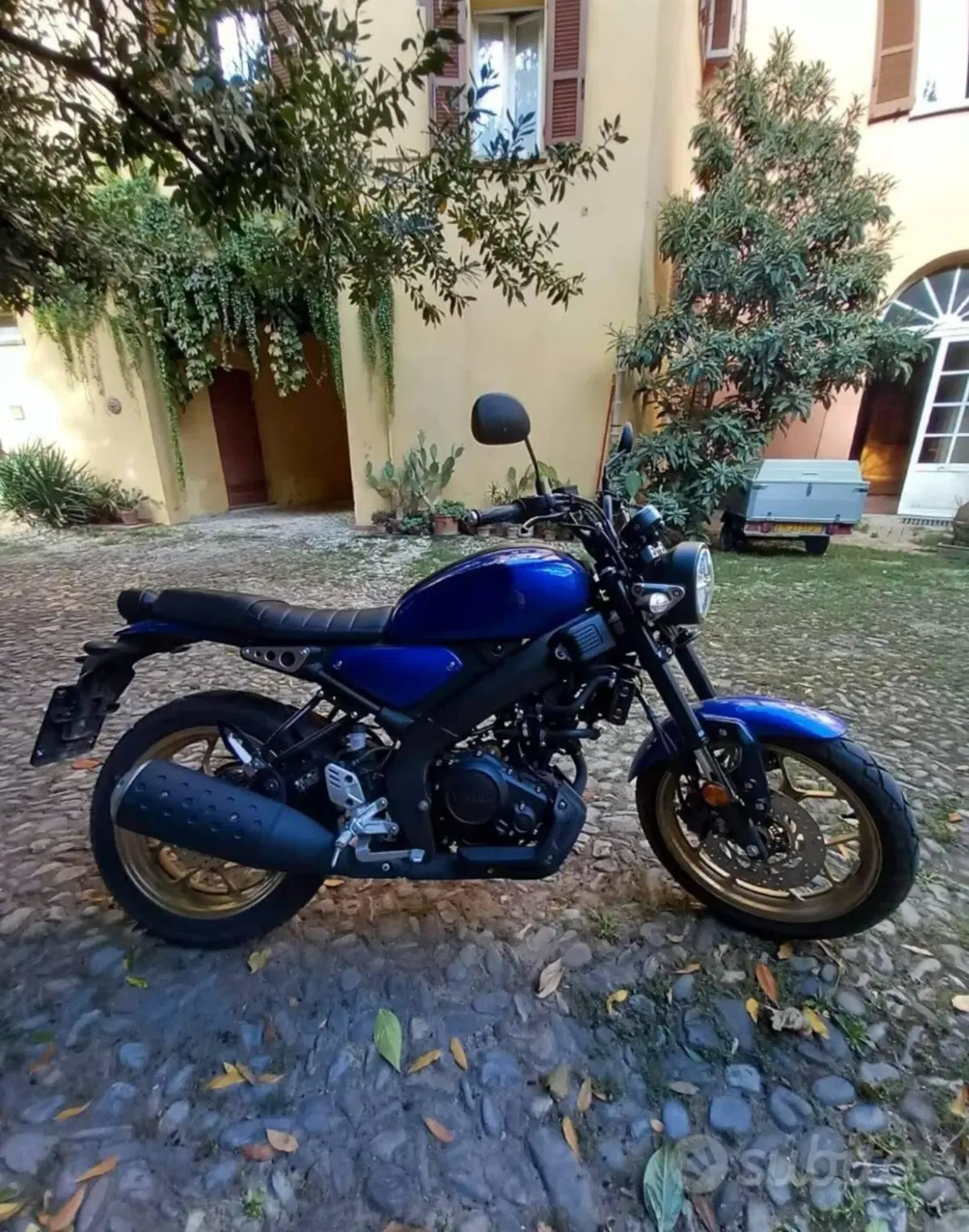 Yamaha XSR 125 (2021 - 24)