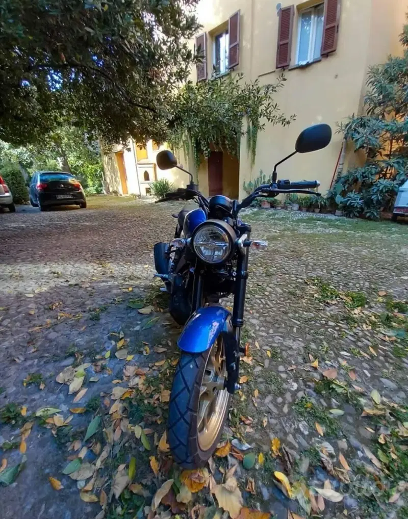 Yamaha XSR 125 (2021 - 24) (2)