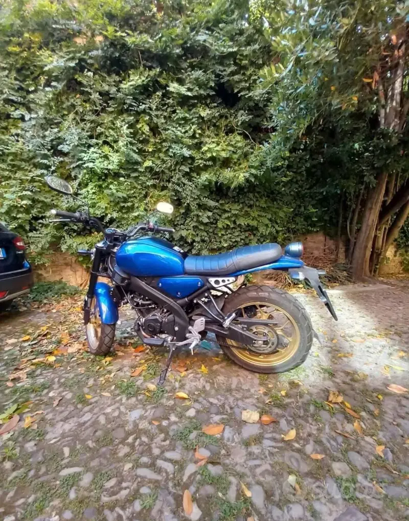 Yamaha XSR 125 (2021 - 24) (3)