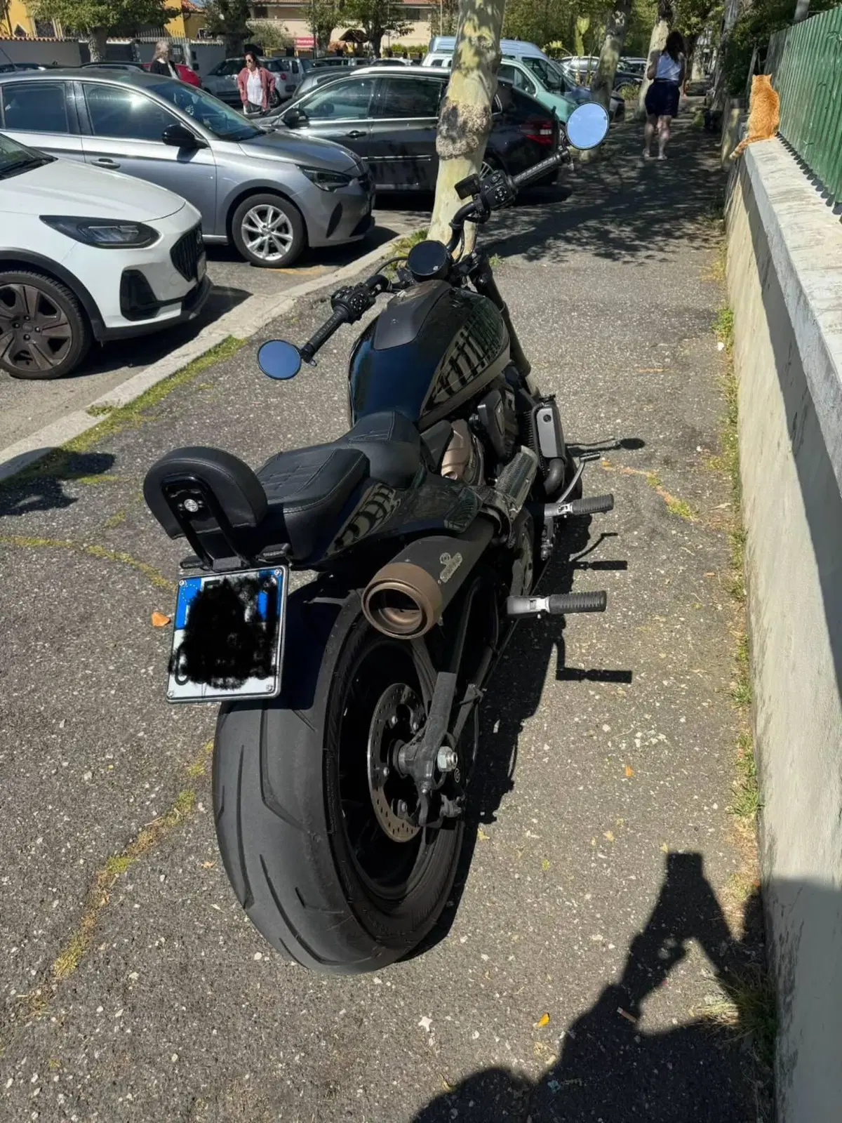 Harley-Davidson Sportster S (2022 - 24) (2)