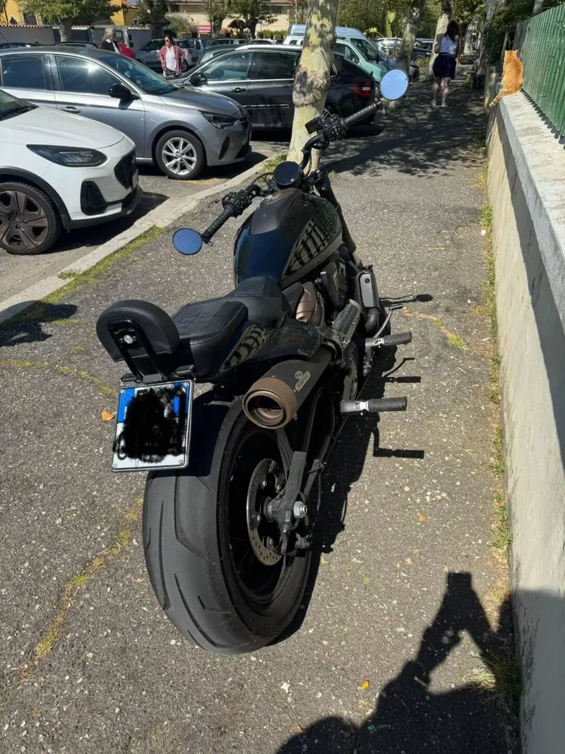 Harley-Davidson Sportster S (2022 - 24) (2)