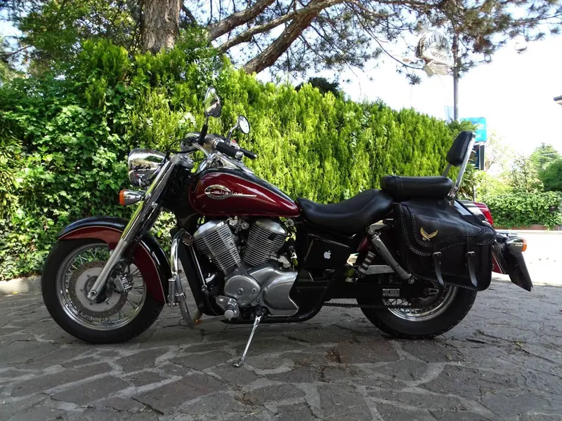 Honda Shadow 750 ACE (18)