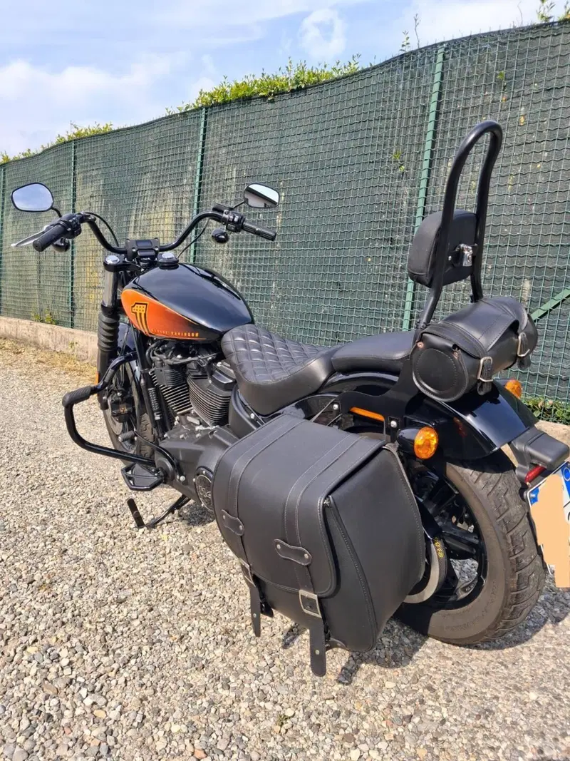 Harley-Davidson Street Bob 114 (2021 - 24)