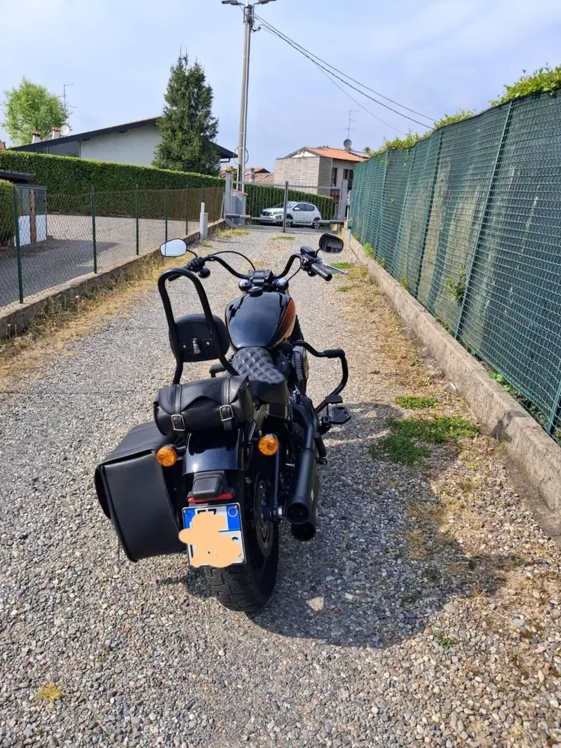 Harley-Davidson Street Bob 114 (2021 - 24) (2)