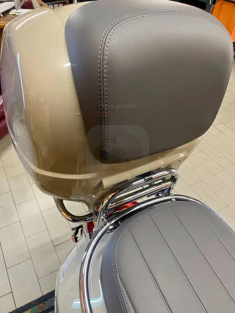 Vespa GTS 300 (2023 - 24) (14)