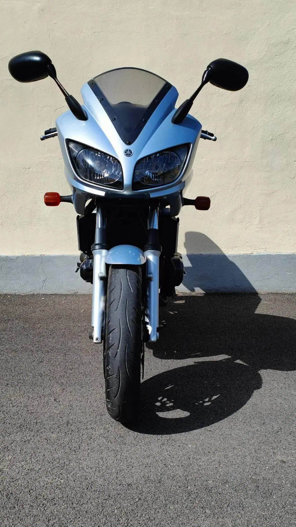 Yamaha FZS 600 Fazer (2002 - 03)