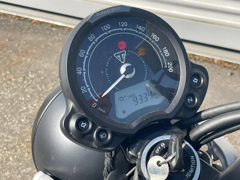 Triumph Street Scrambler 900 (2021 - 22) (17)