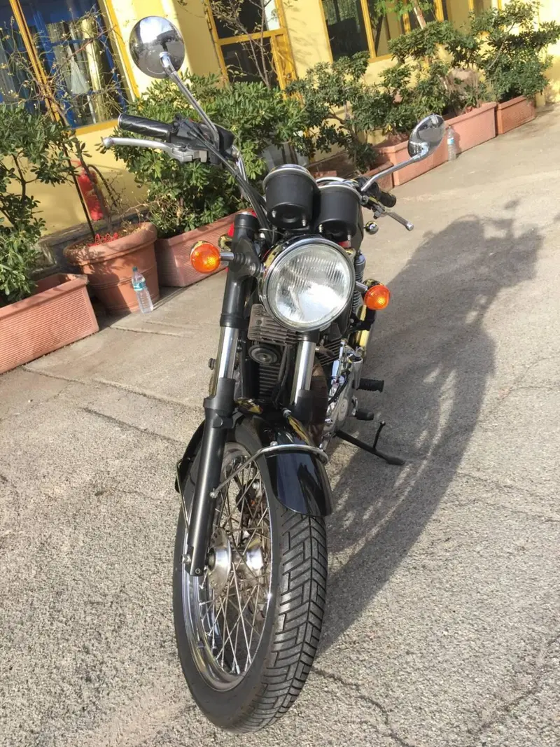 Triumph Bonneville T100 (2001 - 07) (3)