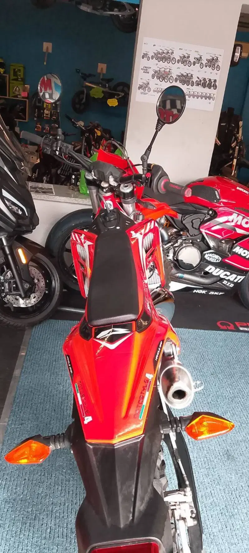 Betamotor Xtrainer 300 2T (2024) (6)