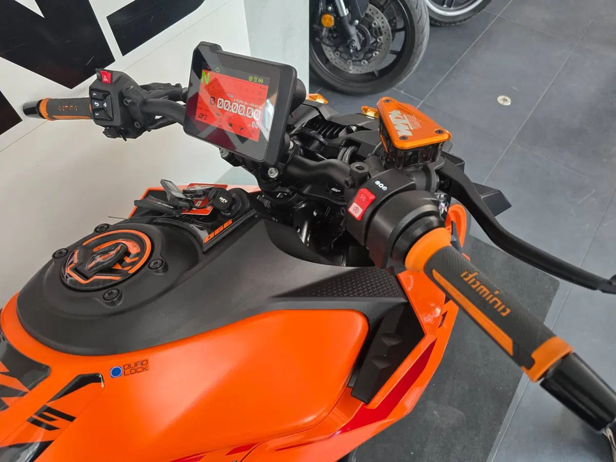 KTM 990 Duke (2024 - 26) (14)