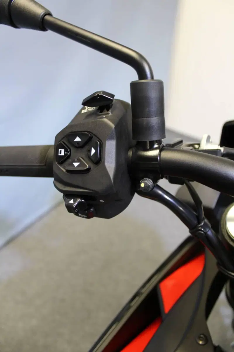 Aprilia Tuono 660 Factory (2022 - 24) (8)