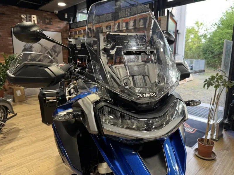 Triumph Tiger 1200 GT Pro (2024 - 26) (7)