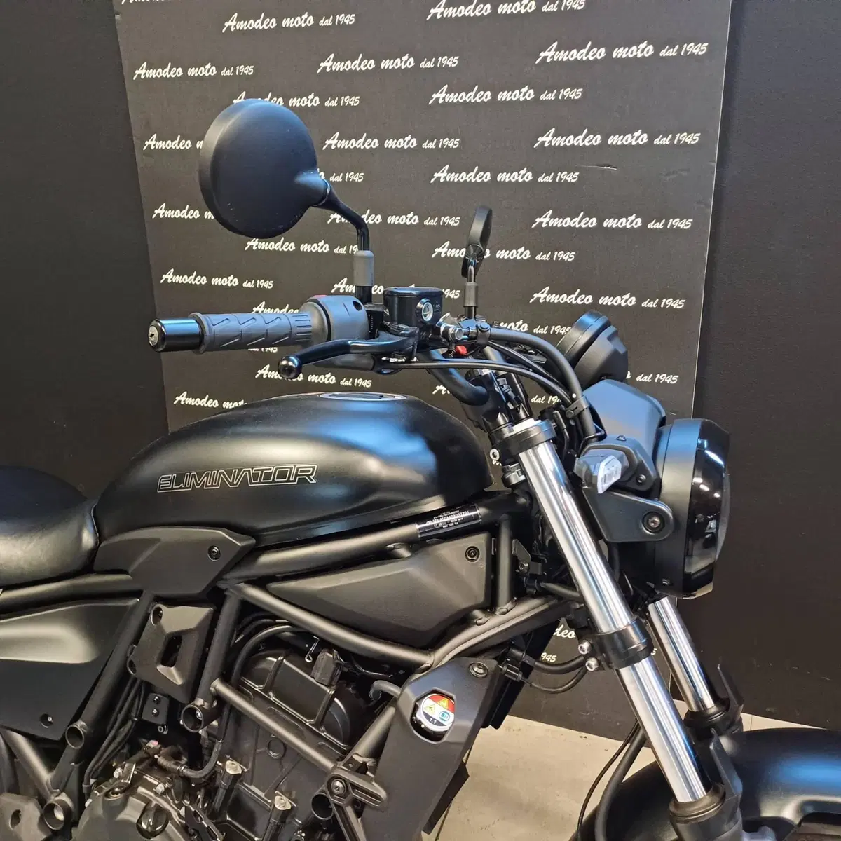 Kawasaki Eliminator 500 (2024 - 26) (4)