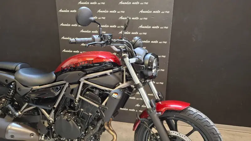 Kawasaki Eliminator 500 (2024 - 26) (6)