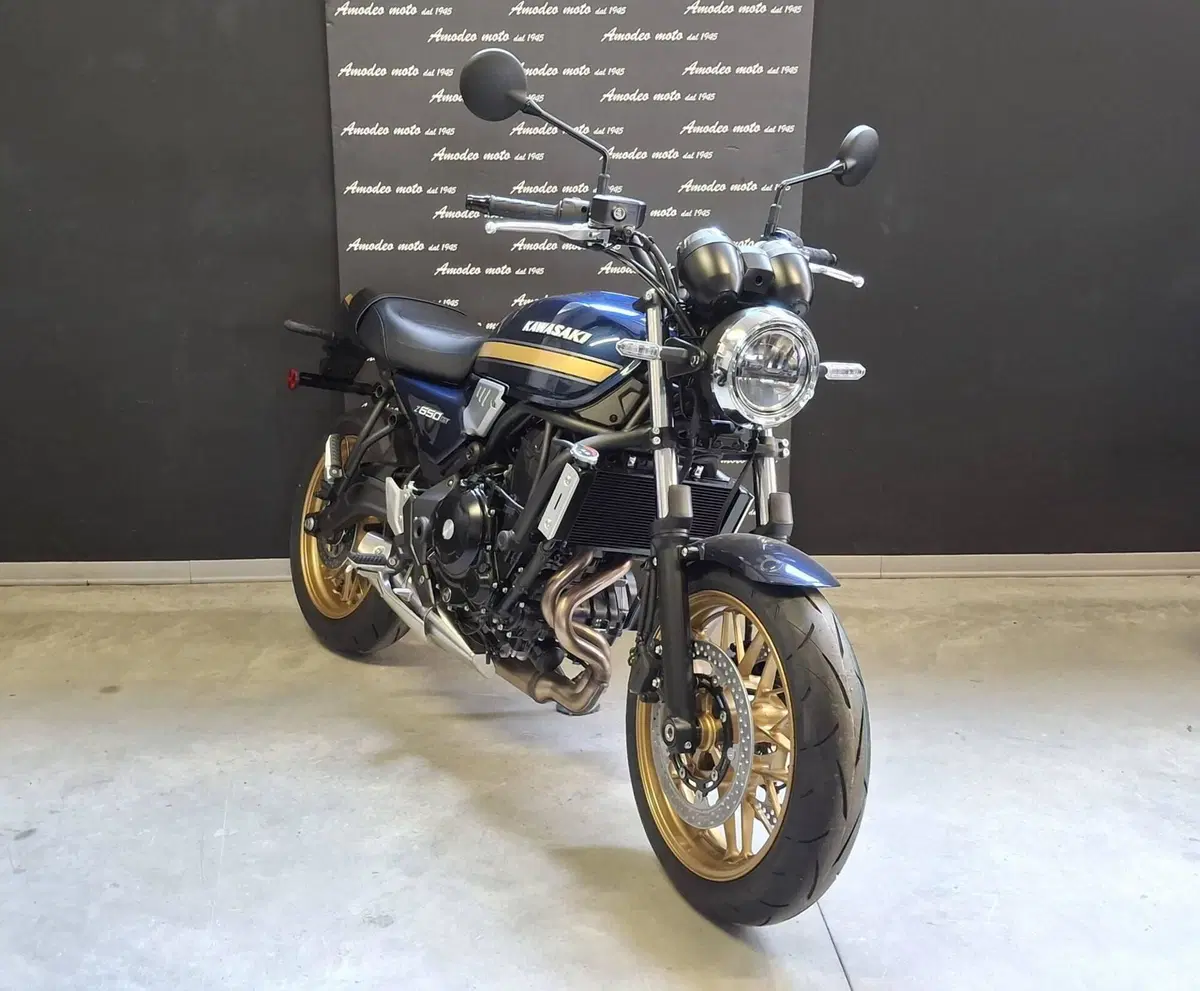 Kawasaki Z 650 RS (2025 - 26) (6)