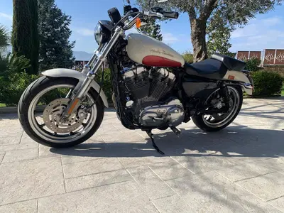 Harley-Davidson 883 Low (2008 - 12) - XL 883L usata