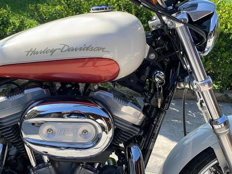 Harley-Davidson 883 Low (2008 - 12) - XL 883L (9)