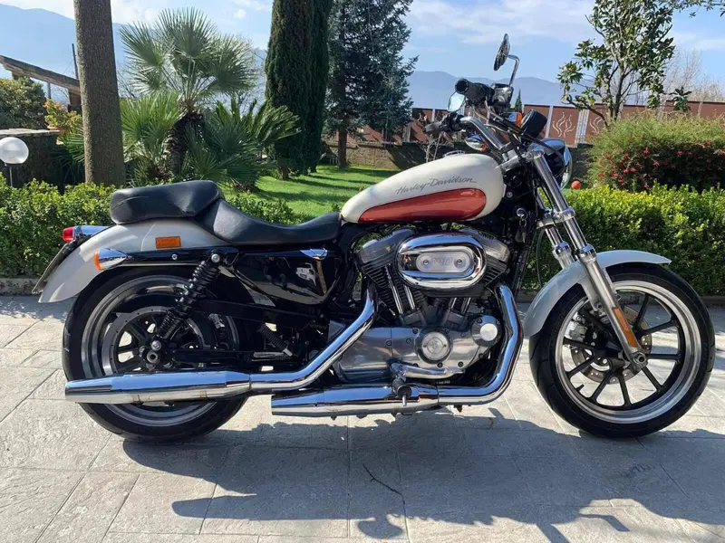 Harley-Davidson 883 Low (2008 - 12) - XL 883L (10)