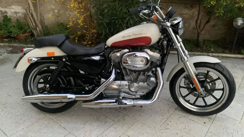 Harley-Davidson 883 Low (2008 - 12) - XL 883L (11)