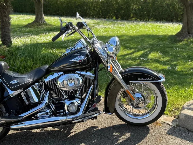 Harley-Davidson 1584 Heritage Classic (2008 - 10) - FLSTC (7)