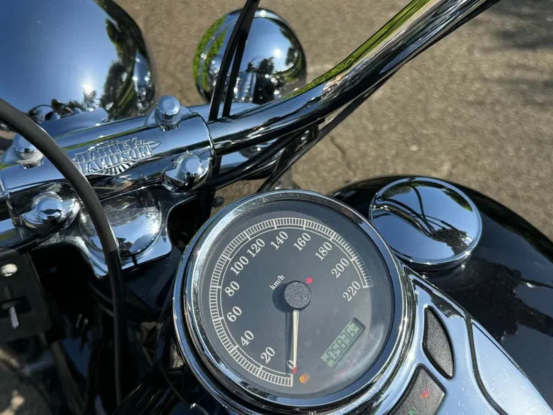 Harley-Davidson 1584 Heritage Classic (2008 - 10) - FLSTC (17)