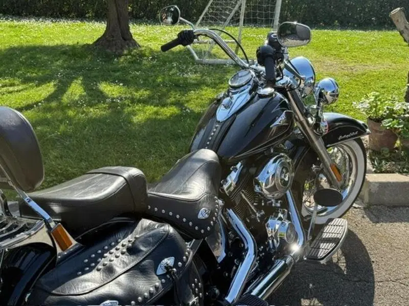 Harley-Davidson 1584 Heritage Classic (2008 - 10) - FLSTC (20)