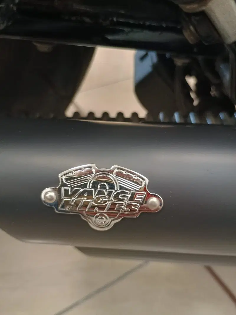 Harley-Davidson 883 Iron (2009 - 11) - XL 883N (11)