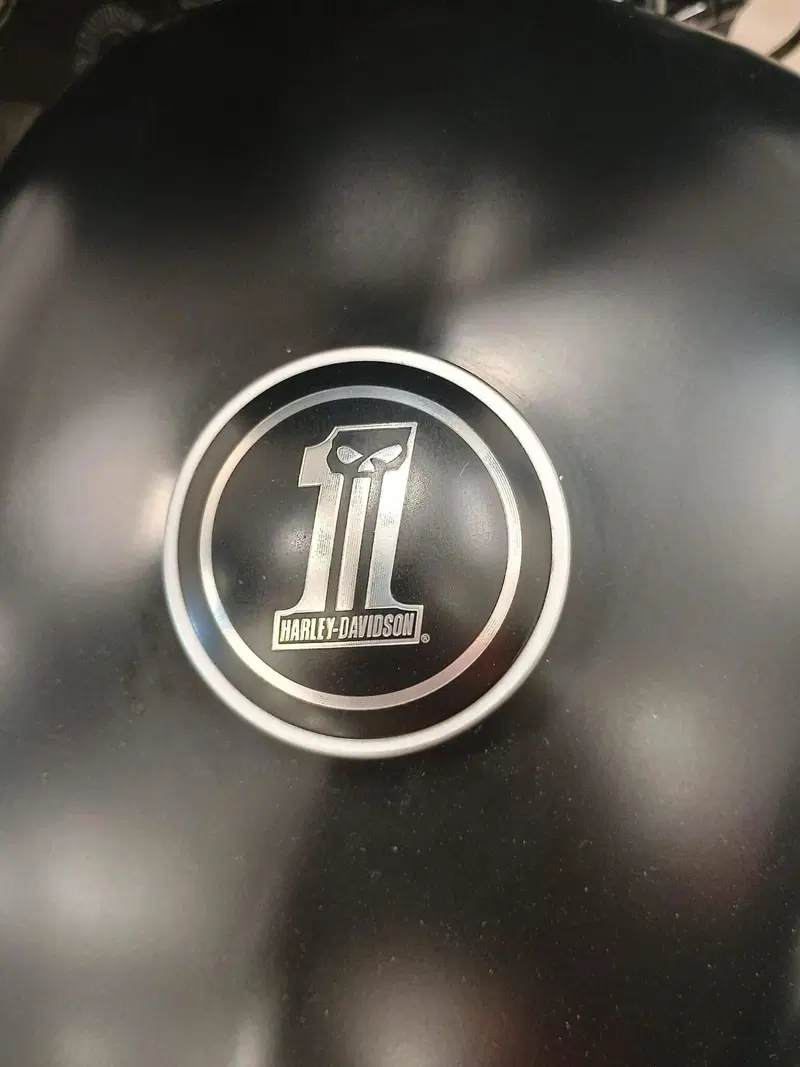 Harley-Davidson 883 Iron (2009 - 11) - XL 883N (14)