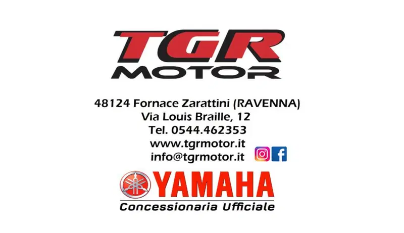 Yamaha X-Max 250 (2014 - 16) (4)