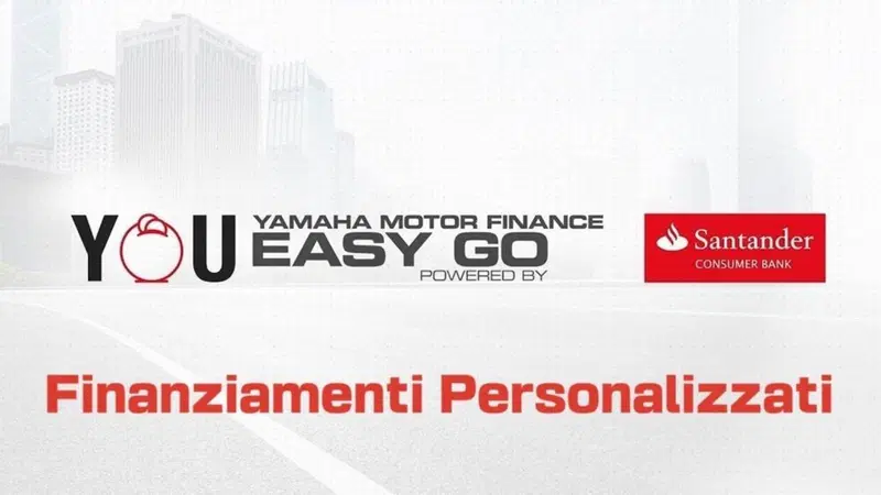 Yamaha X-Max 250 (2014 - 16) (5)