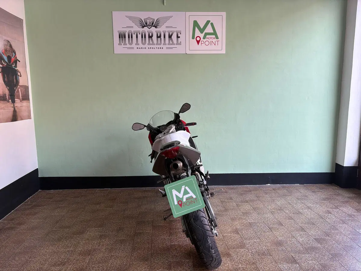Aprilia RS 50 (2006 - 13) (4)